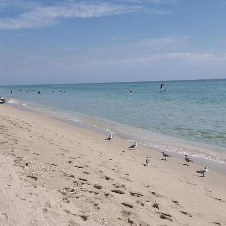 New Luxury Apartment 2Br 2Ba Direct Beach Access Hollywood Dış mekan fotoğraf